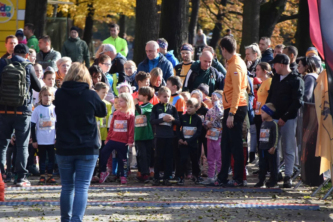 Jesienny Festiwal Szakala