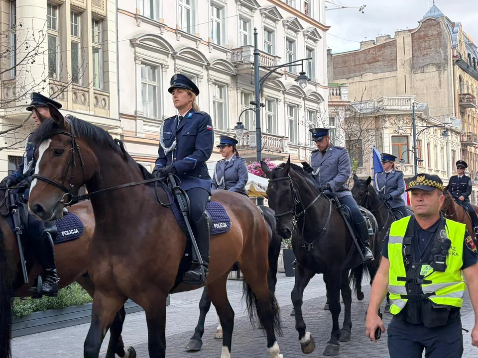Parada konna na Piotrkowskiej