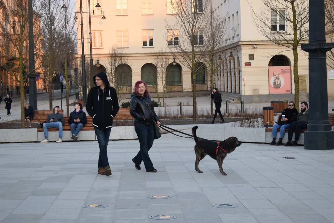 Plac Wolności w Łodzi po otwarciu