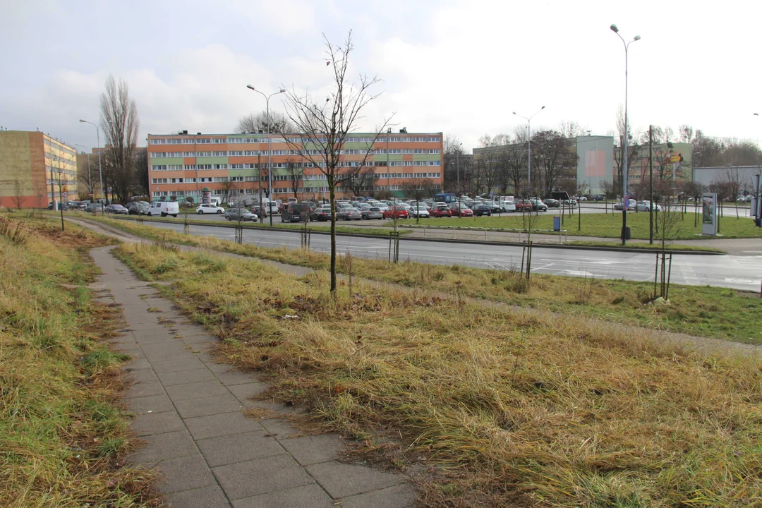 Krańcówka tramwajowa Łódź Żabieniec