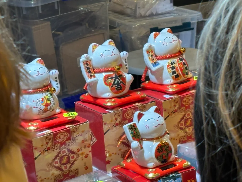 Azjatycka podróż w Polsat Plus Arena