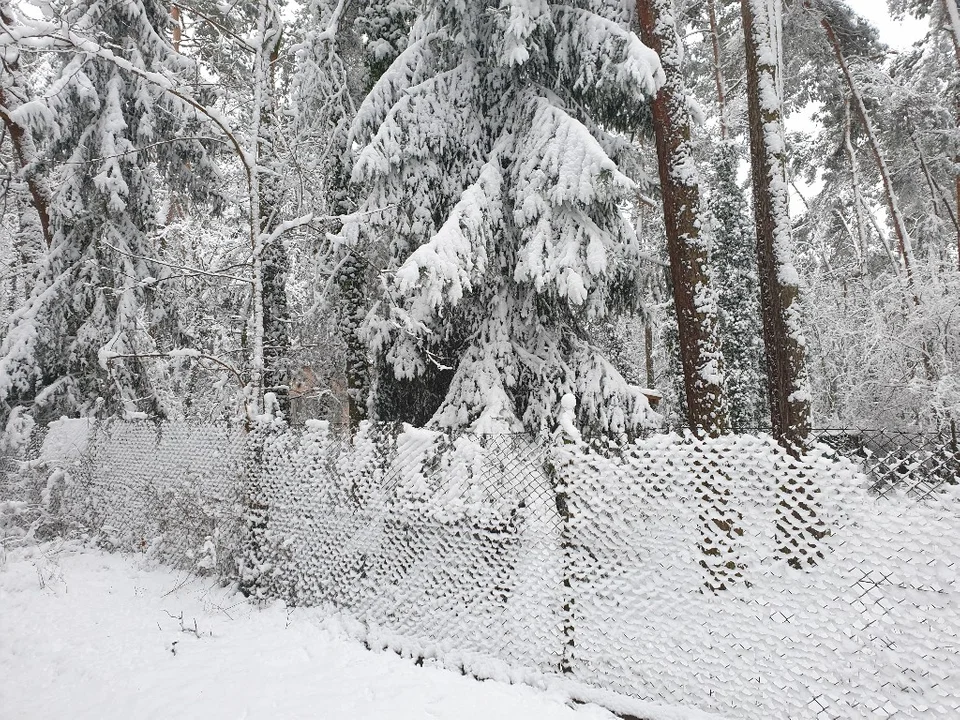 Śnieżna galeria ze Zgierza i Sokolnik-Lasu