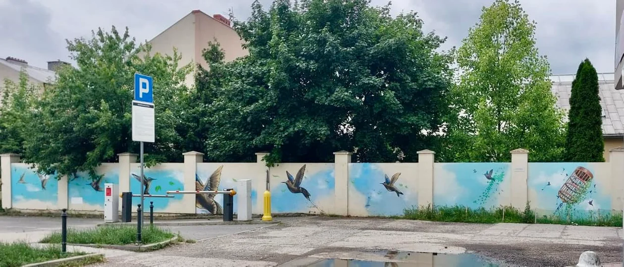 W Płocku jest nowy mural. "Nie powiedzieliśmy jeszcze ostatniego słowa" - Zdjęcie główne