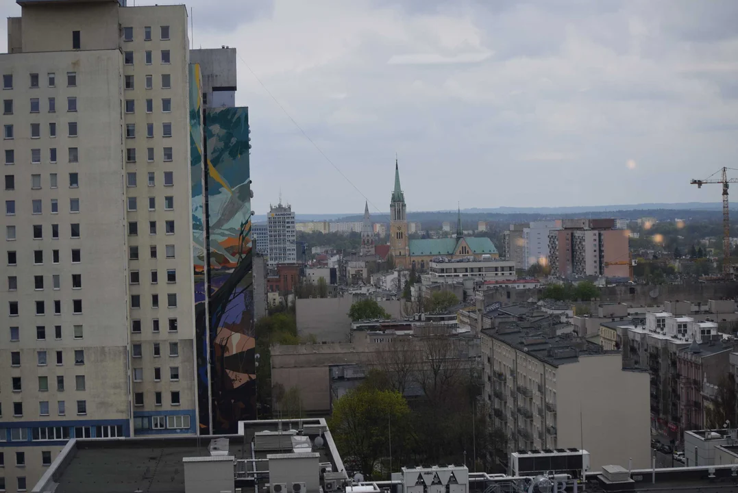 Panorama miasta widziana z wieżowca Red Tower