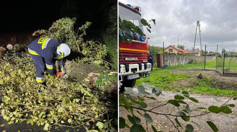 Drzewo osunęło się na bełchatowskie przedszkole. Strażacy walczą ze skutkami wichury [FOTO] - Zdjęcie główne