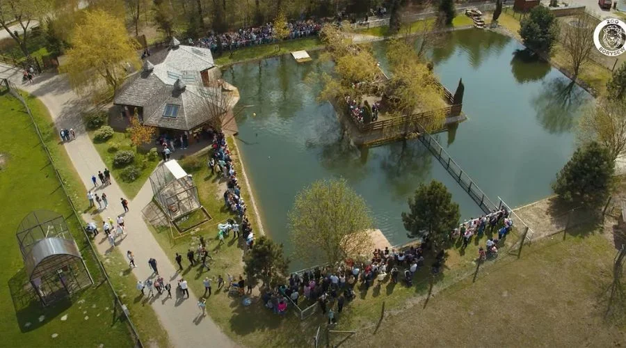 Historia interwencji. Ponad 100 zwierząt znalazło bezpieczny dom w ZOO w woj. łódzkim - Zdjęcie główne