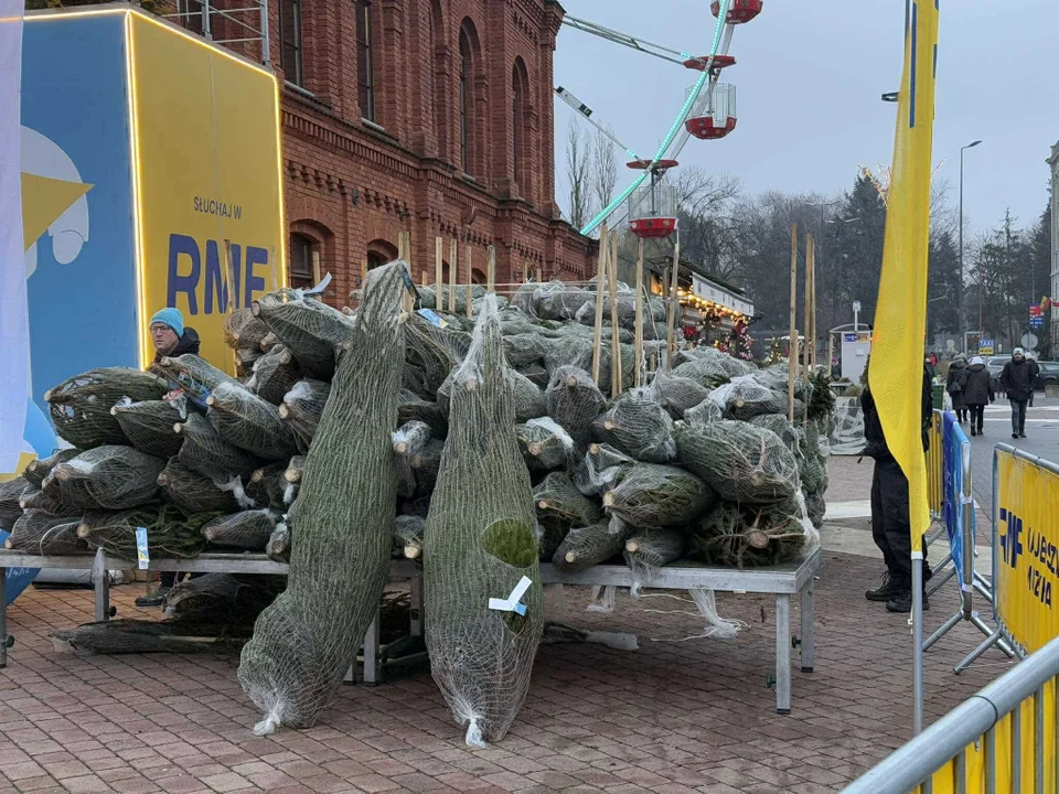 Choinka pod choinkę. Małopolska akcja w Manufakturze, 11.12.2024 r.