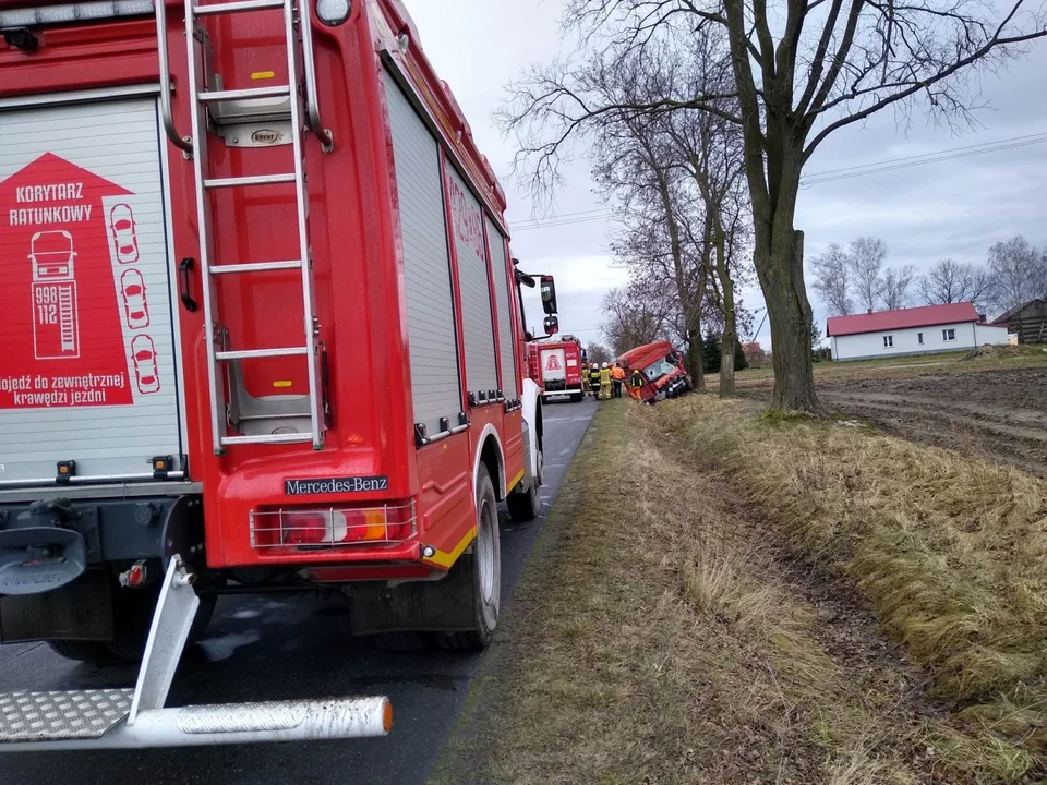 Samochód uderzył w drzewo w miejscowości Mnich. Na miejscu służby ratunkowe