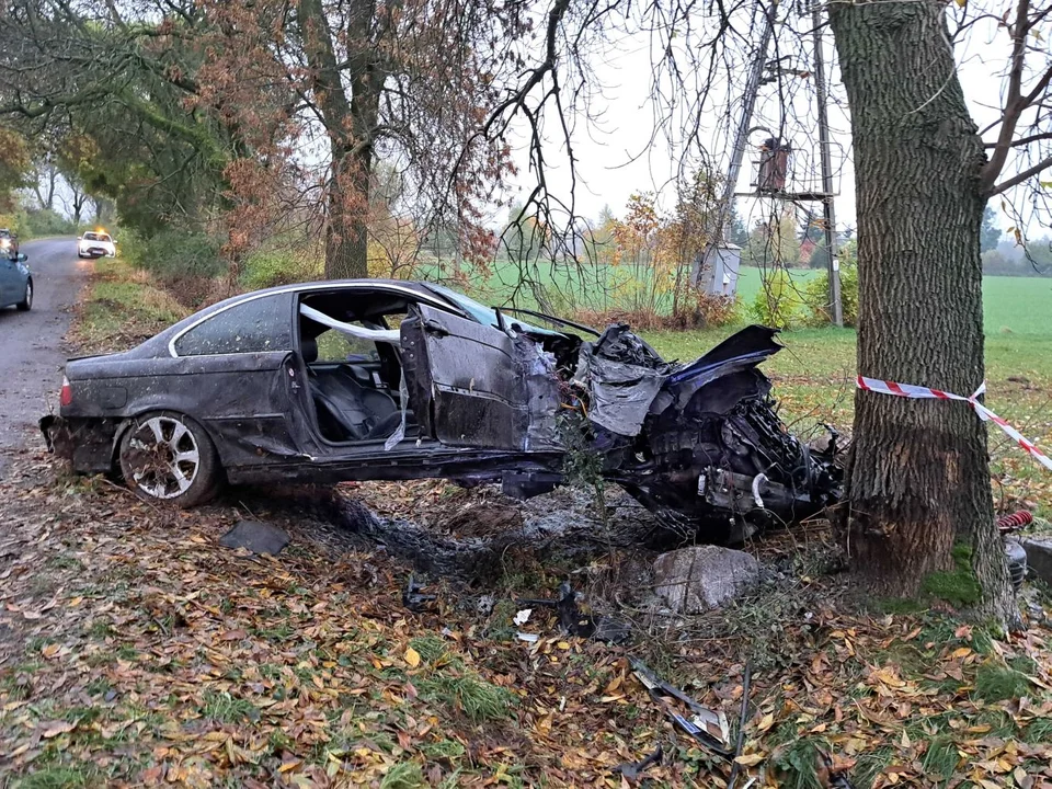 Wiadomo, kto rozbił BMW na drzewie. Jechał za szybko [ZDJĘCIA] - Zdjęcie główne