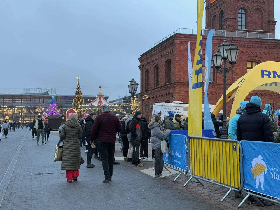 Choinka pod choinkę. Małopolska akcja w Manufakturze, 11.12.2024 r.