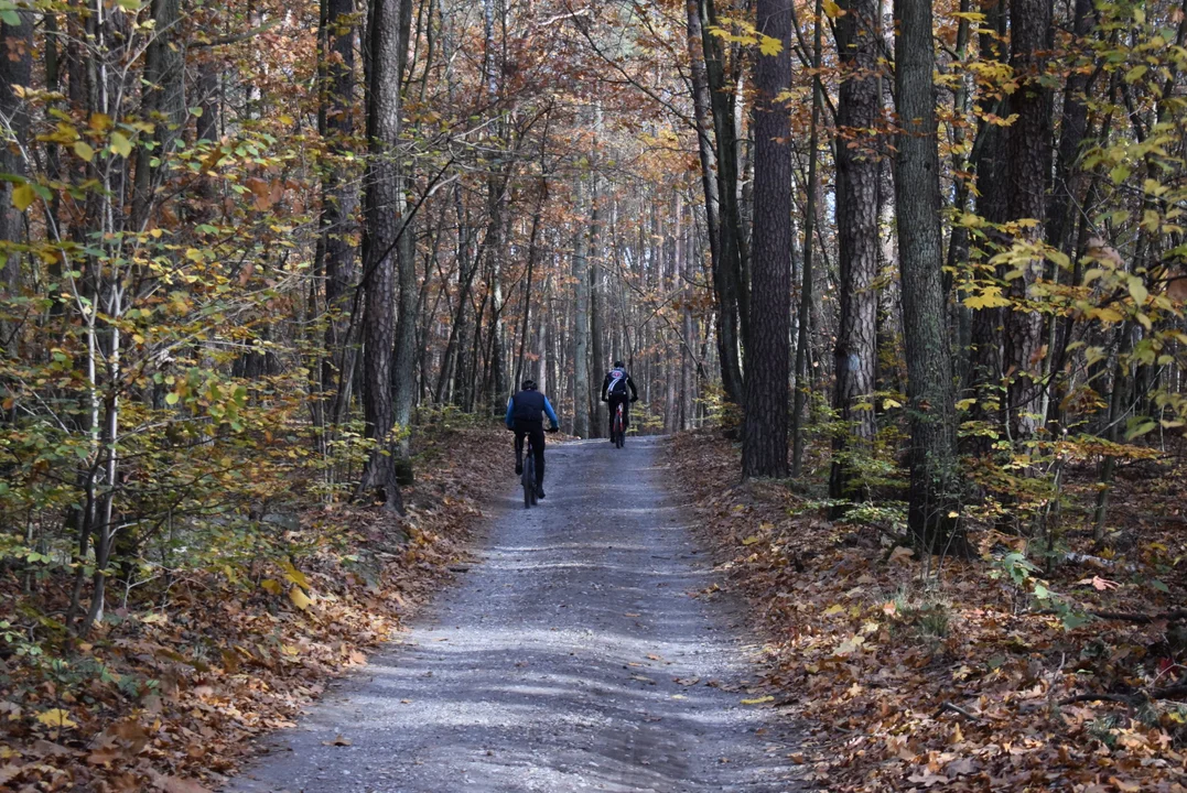 Halloween XC w Lesie Łagiewnickim