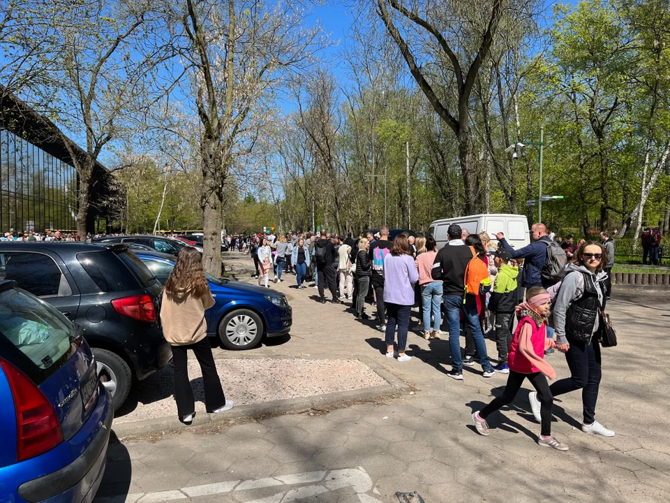 Kolejka w majówkę do Orientarium ZOO Łódź