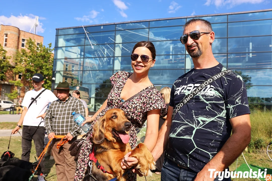 Piknik myśliwski w Piotrkowie, 17.09.2023 Była dzika kuchnia, pokazy psów myśliwskich i sokolników oraz koncert sygnalistów ZDJĘCIA - Zdjęcie główne