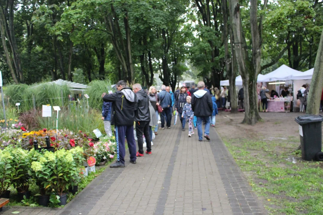 Trwa Święto Róży. Sporo osób odwiedza park Traugutta