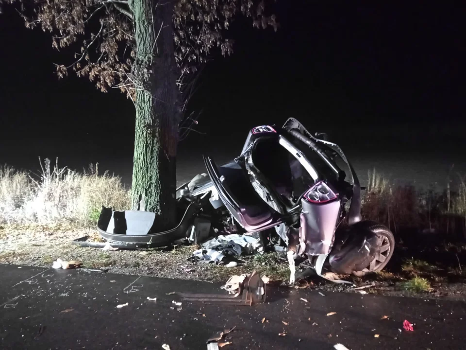 Auto uderzyło w drzewo. Nie żyje młody mężczyzna [ZDJĘCIA] - Zdjęcie główne