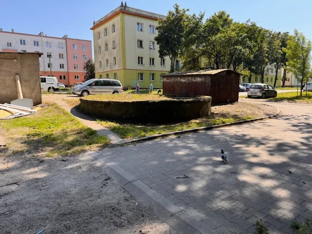 Szczury na Kuraku