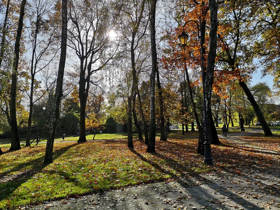 Zgierzanie korzystają z pięknej jesiennej pogody