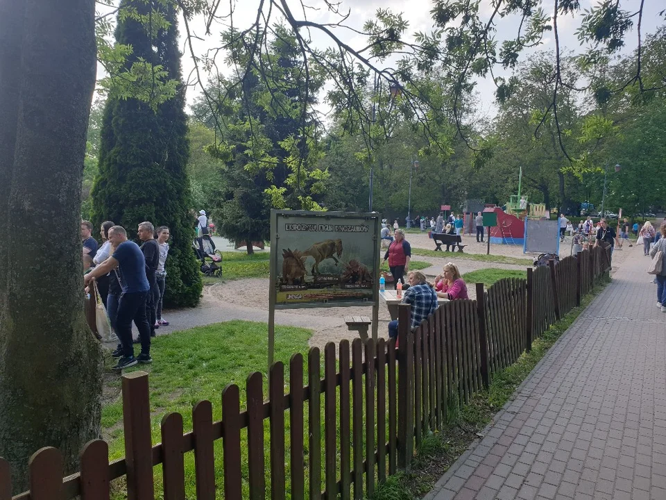 Moc atrakcji na Festiwalu Baniek Mydlanych w Zgierzu. Dzieciaki były uradowane, to wszystko dla nich [zdjęcia]