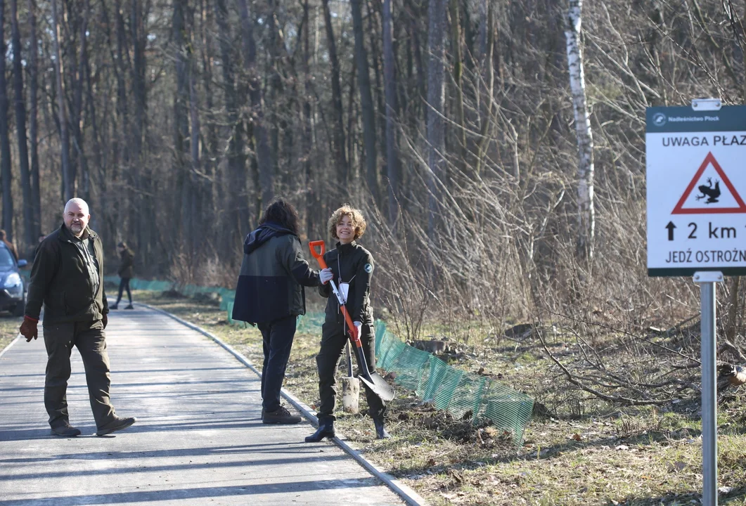 Specjalne znaki i siatki przy drodze. Nadleśnictwo rusza z akcją