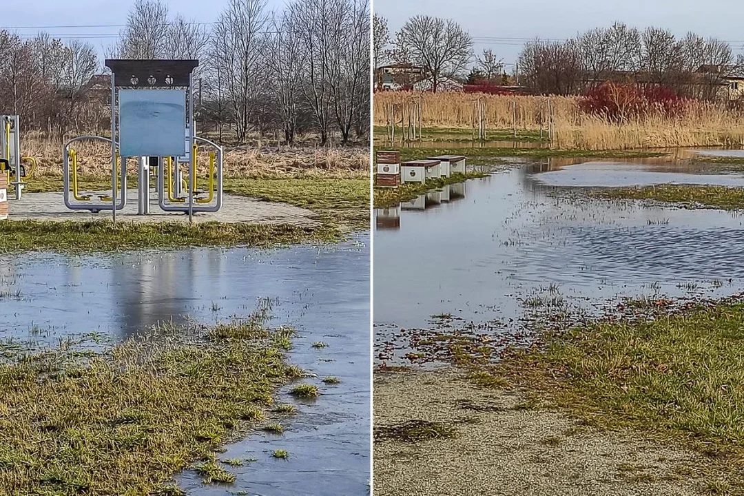 „Podwodna” siłownia plenerowa w Bełchatowie. Urząd zmarnował pieniądze? [FOTO] - Zdjęcie główne