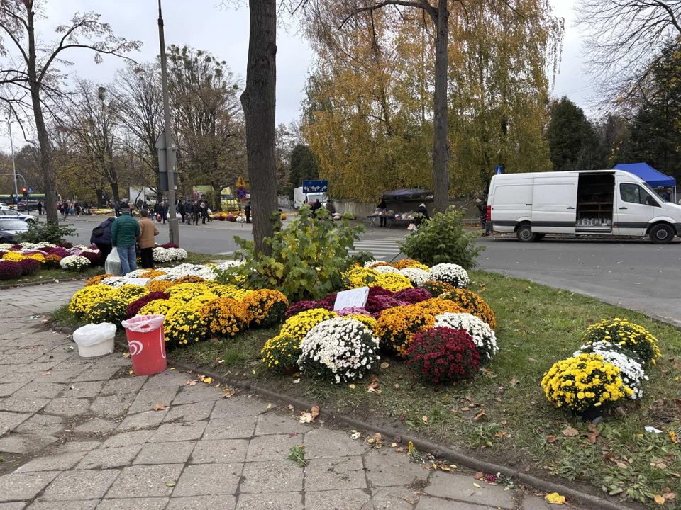 Korki w okolicach cmentarza na Dołach