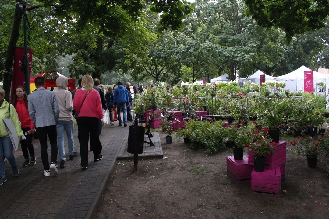 Trwa Święto Róży. Sporo osób odwiedza park Traugutta