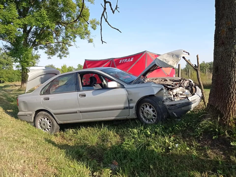 Wypadek niedaleko Płocka. Kierowca osobówki uderzył w drzewo - Zdjęcie główne