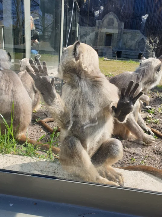 Orientarium ZOO Łódź