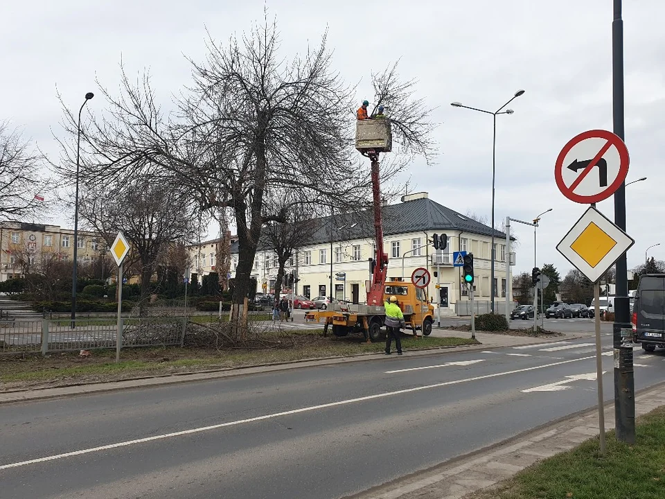 Rozkopana Armii Krajowej. Mają powstać rabatki z kwiatami miododajnymi [zdjęcia]