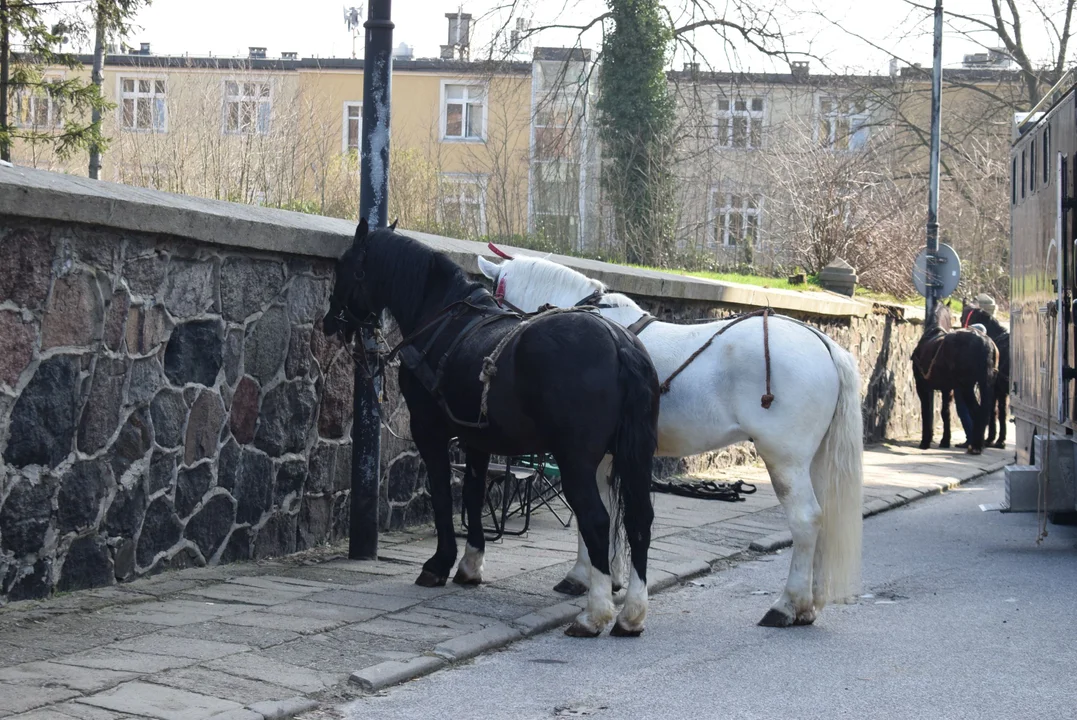 W Zgierzu powstają zdjęcia do serialu