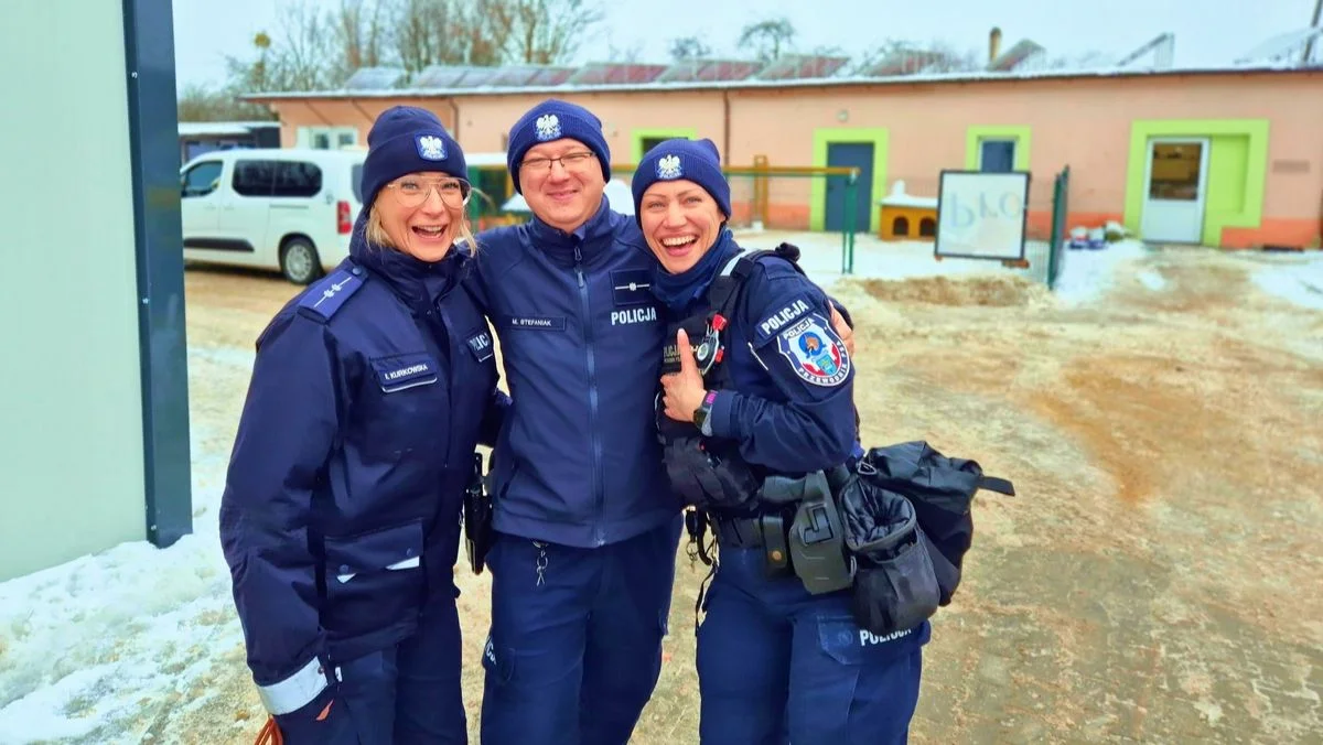 Policjanci z województwa łódzkiego w trosce o zwierzęta. Zebrali setki kilogramów karmy - Zdjęcie główne