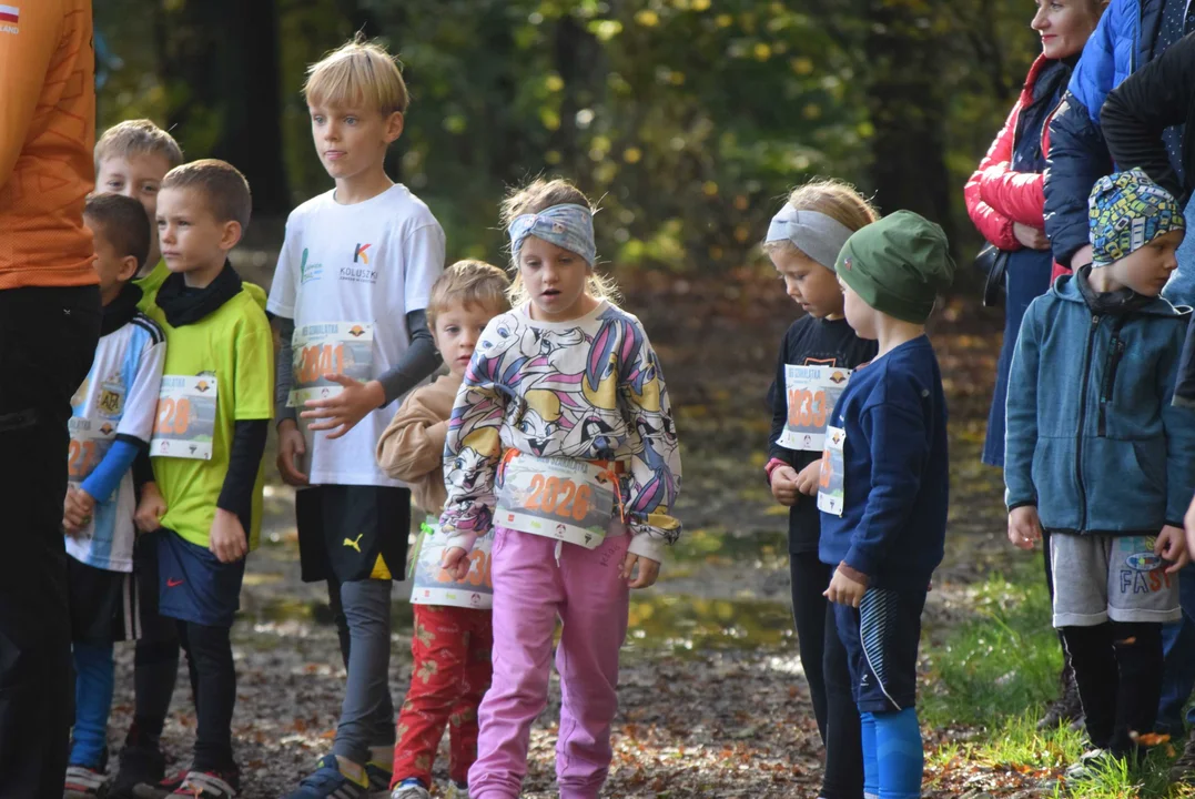 Jesienny Festiwal Szakala