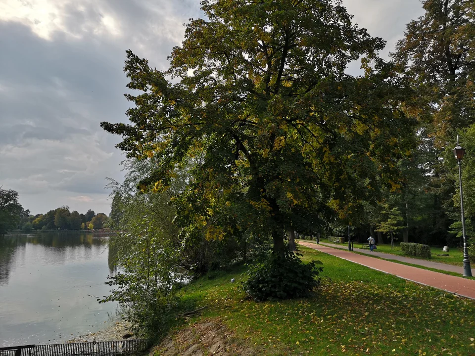 Pierwsze oznaki jesieni w zgierskim parku - zobacz zdjęcia!