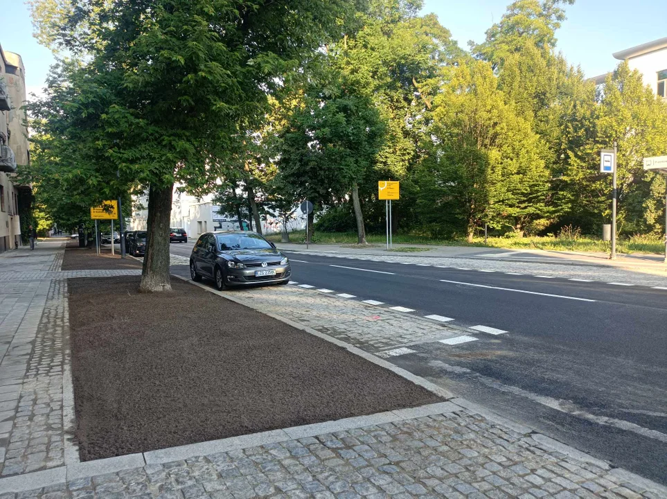 Koniec ważnego remontu w centrum Łodzi. Autobusy  wróciły na swoje trasy [ZDJĘCIA] - Zdjęcie główne