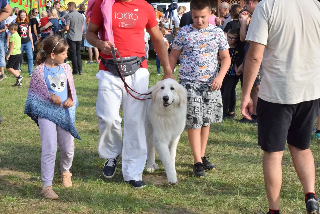 Dożynki gminy Stryków w Warszewicach