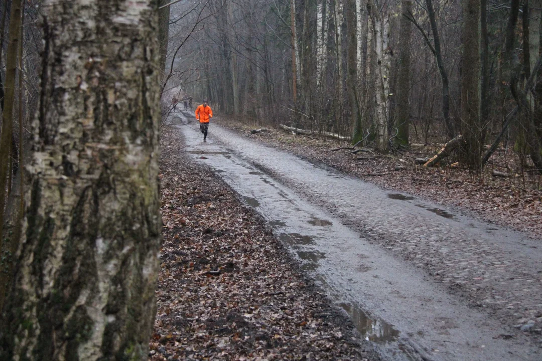 Walentynkowy parkrun w Lesie Łagiewnickim