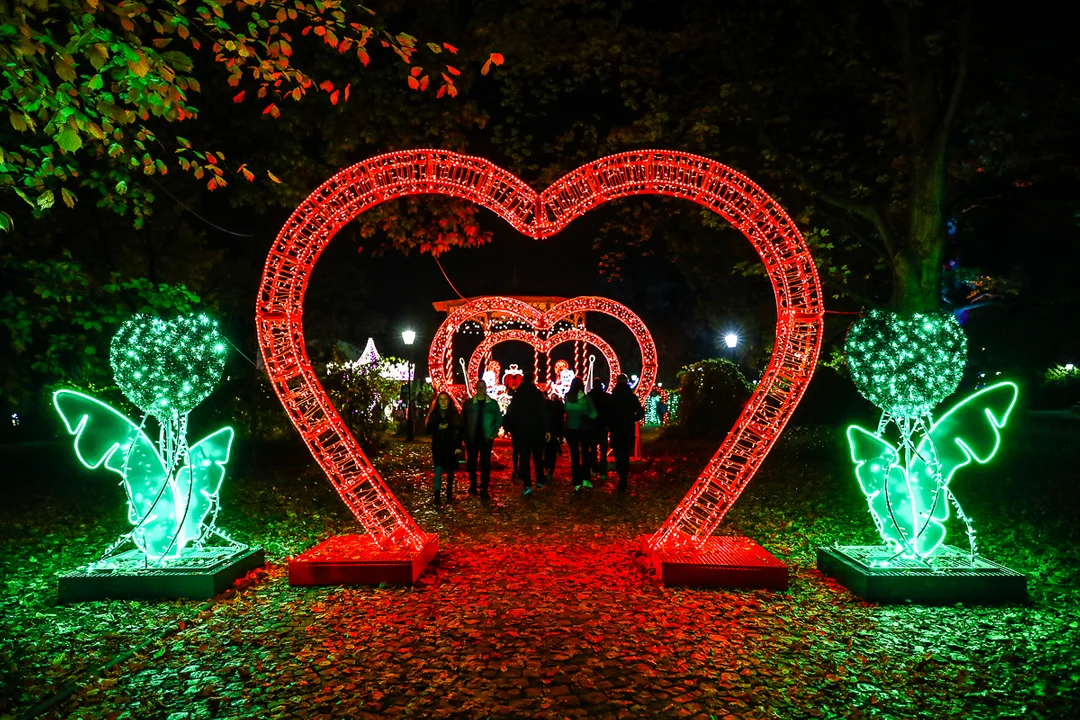 Park Miliona Świateł znów dostępny dla odwiedzających