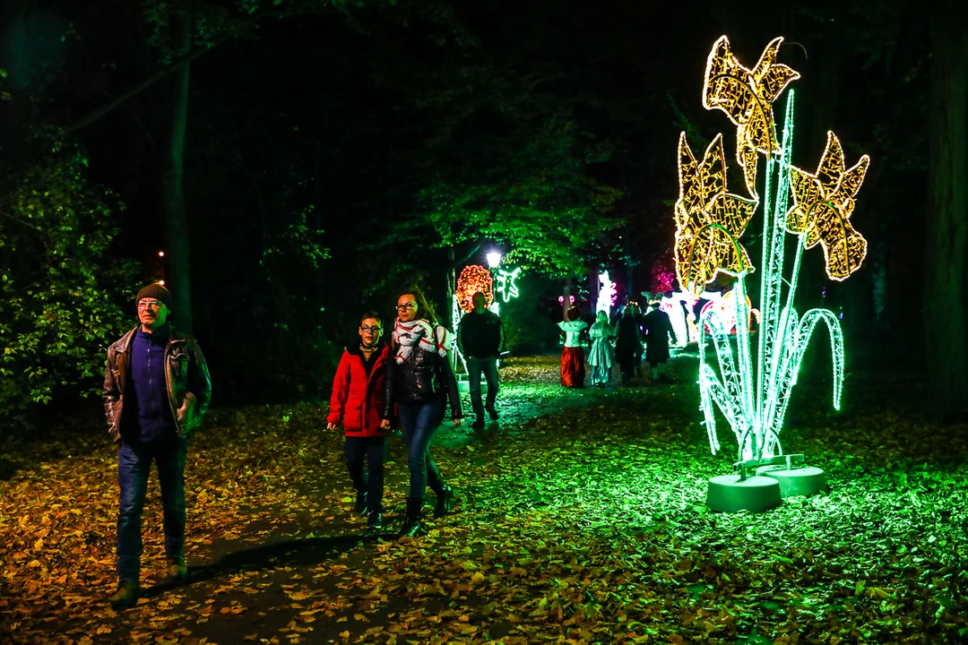 Park Miliona Świateł znów dostępny dla odwiedzających