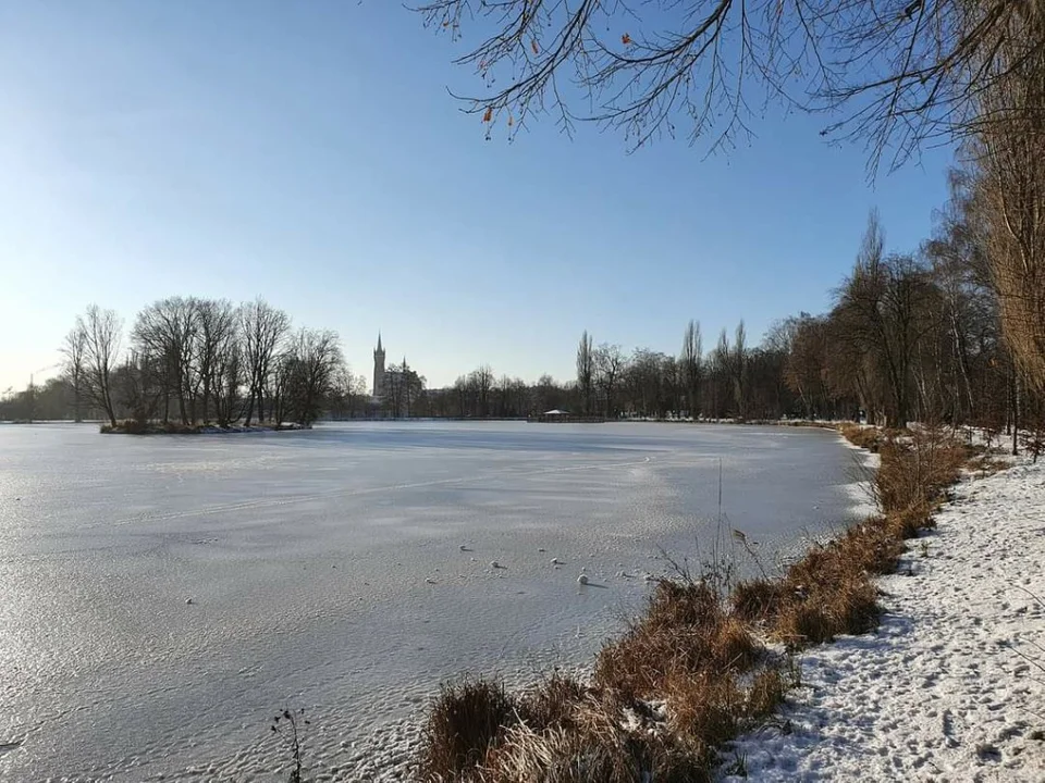 Galeria zdjęć Zgierza oczami jego mieszkańców. Niektóre kadry są naprawdę piękne [galeria]