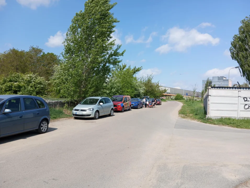 Majówka w parku na Młynku