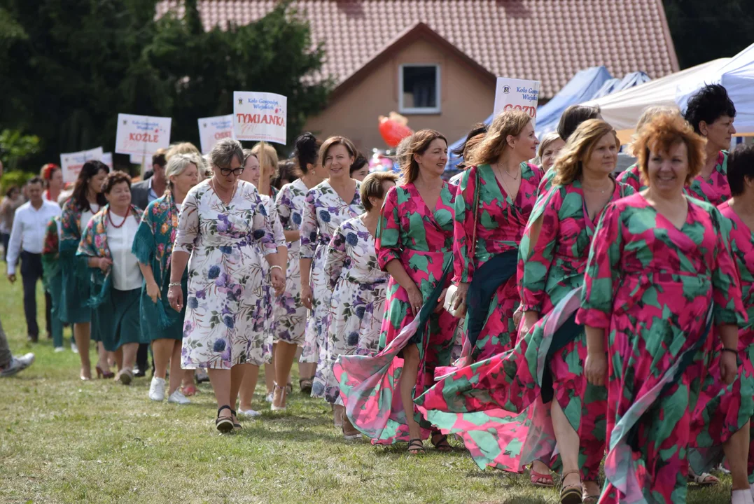 Dożynki gminy Stryków w Warszewicach