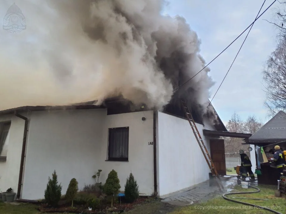 pożar przygłów las