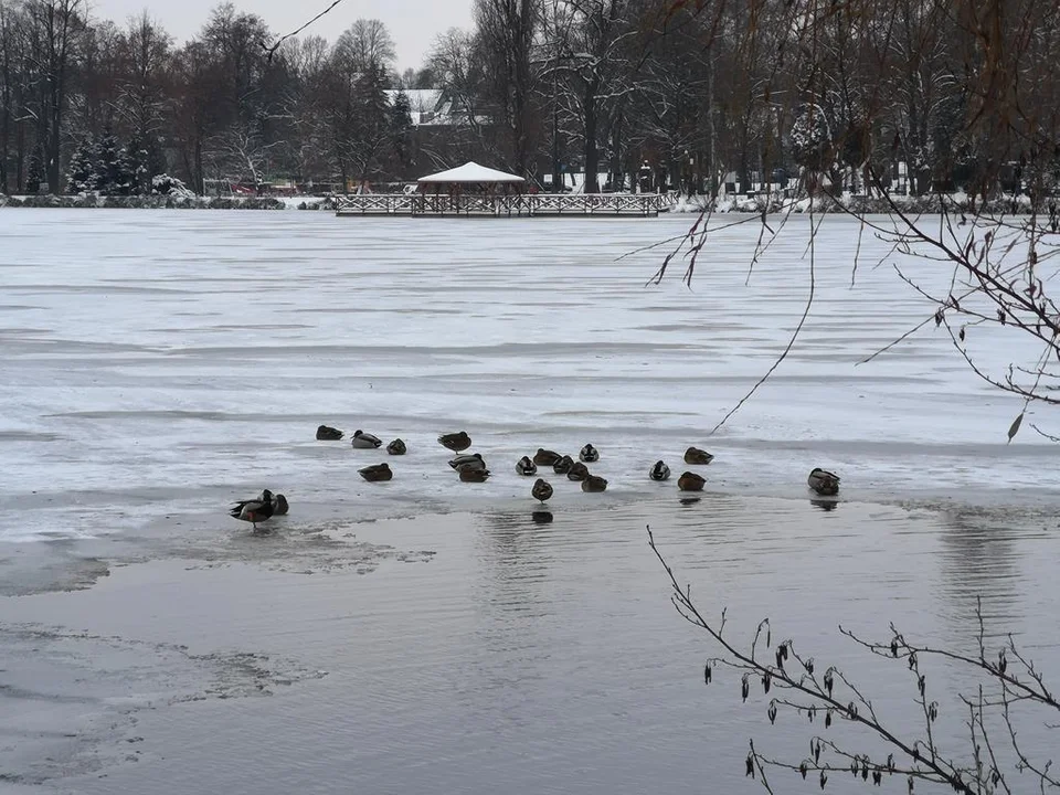 Zima zagościła w Parku Miejskim