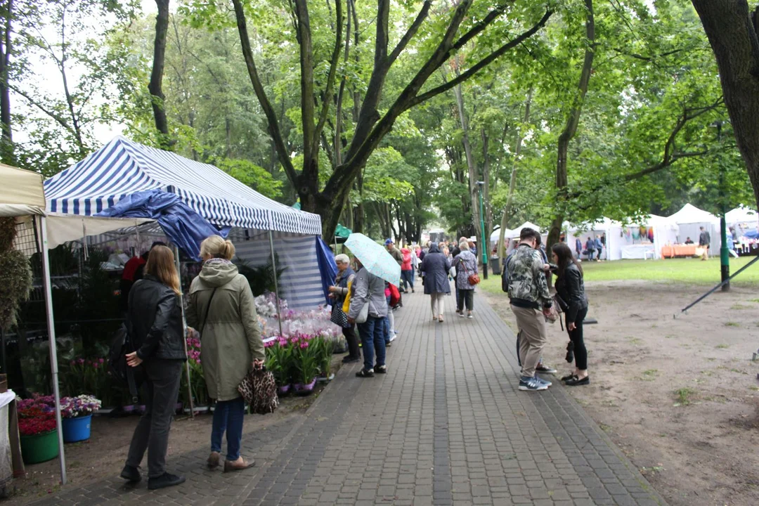 Trwa Święto Róży. Sporo osób odwiedza park Traugutta