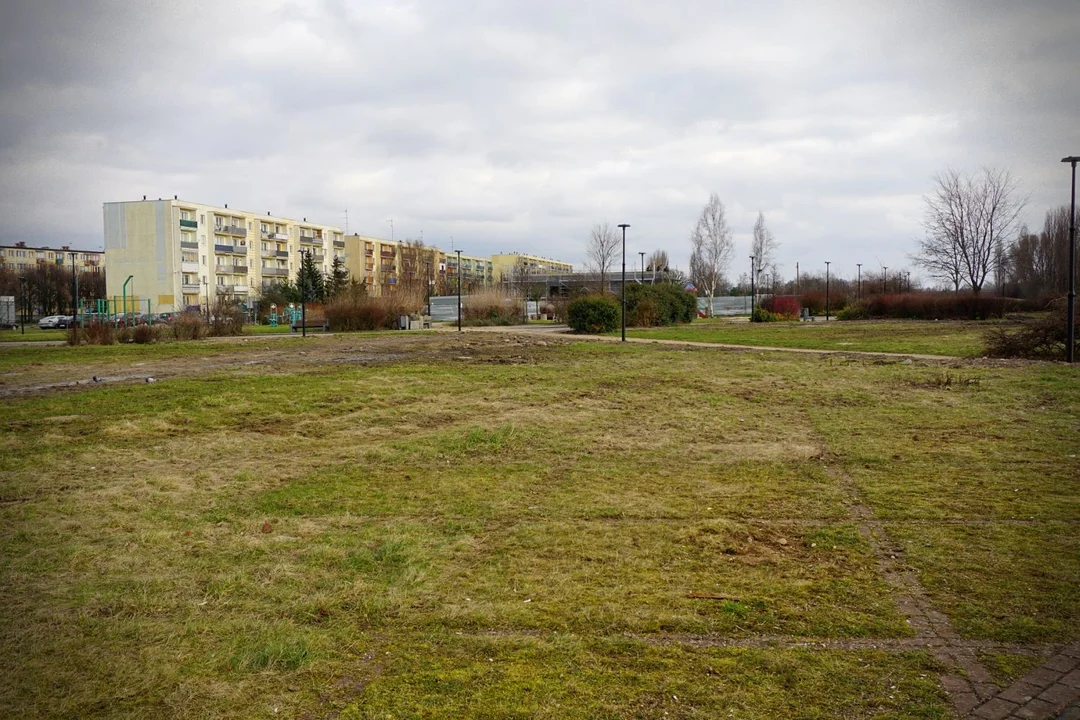 Trwają prace związane z budową tzw. Zielonej Osi Miasta