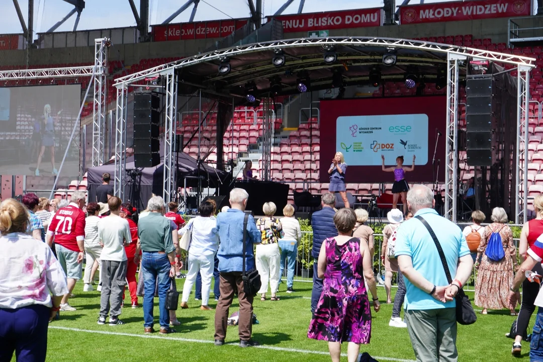 Wydarzenie na murawie stadionu Widzewa