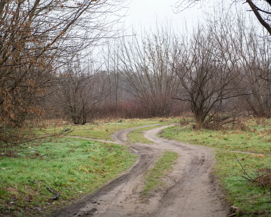 Rowerem z Łodzi do Konstantynowa. Będzie nowa droga rowerowa