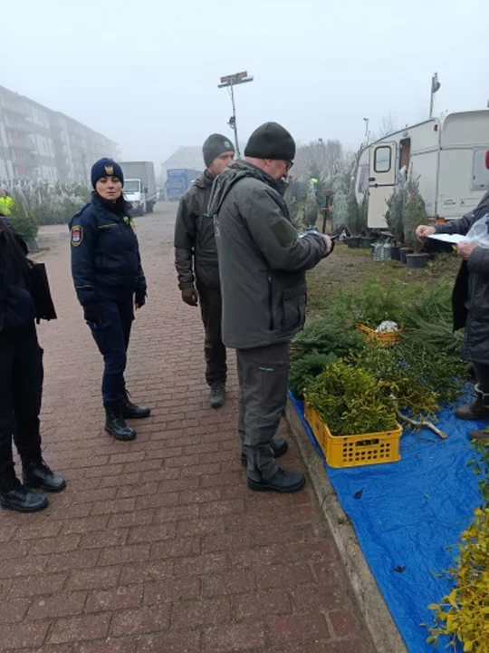 Akcja "Choinka" w Płocku