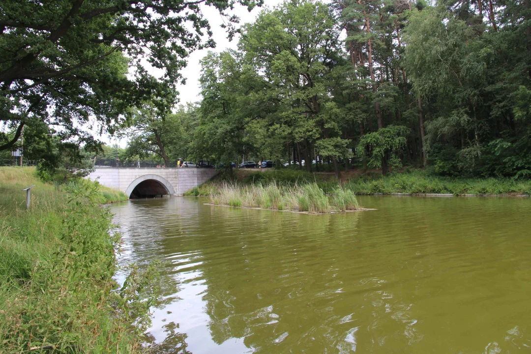 Arturówek podczas upałów - 16.07.2023 r.