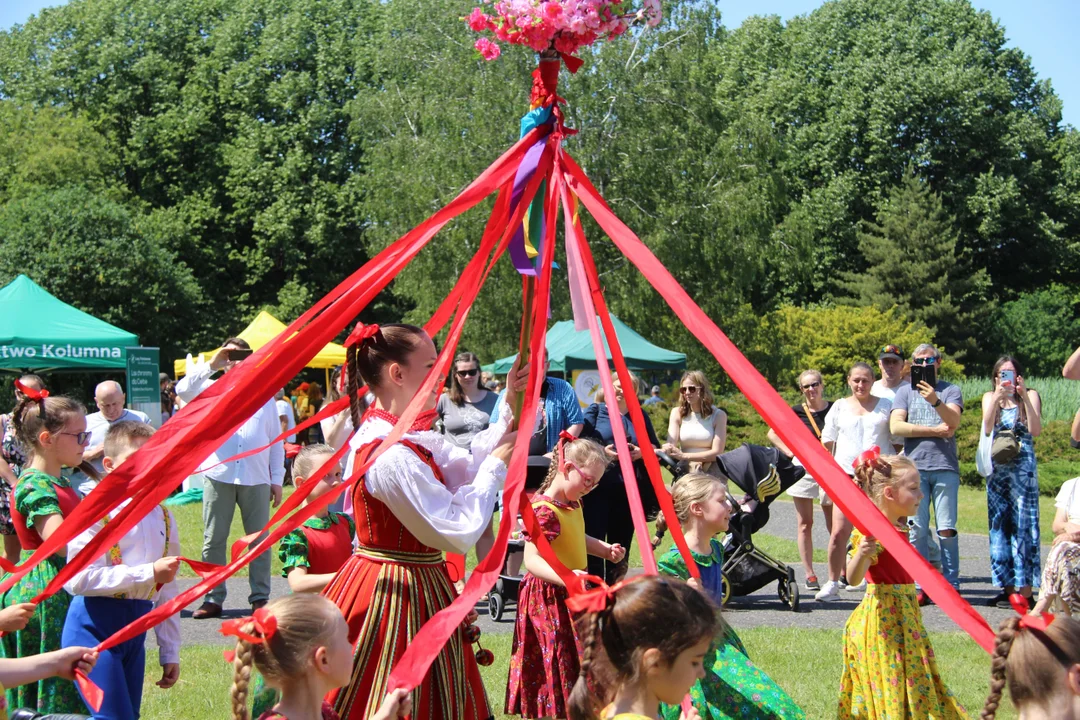 "Majówka w ogrodzie" - Ogród Botaniczny w Łodzi zaprasza na piknik rodzinny